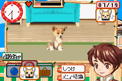 Kawaii Pet Game Gallery Screenshot 1